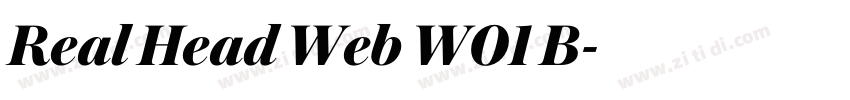 Real Head Web W01 B字体转换